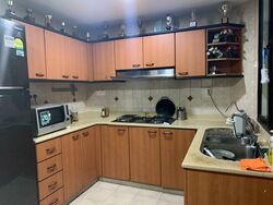 Simsville (D14), Condominium #325396641